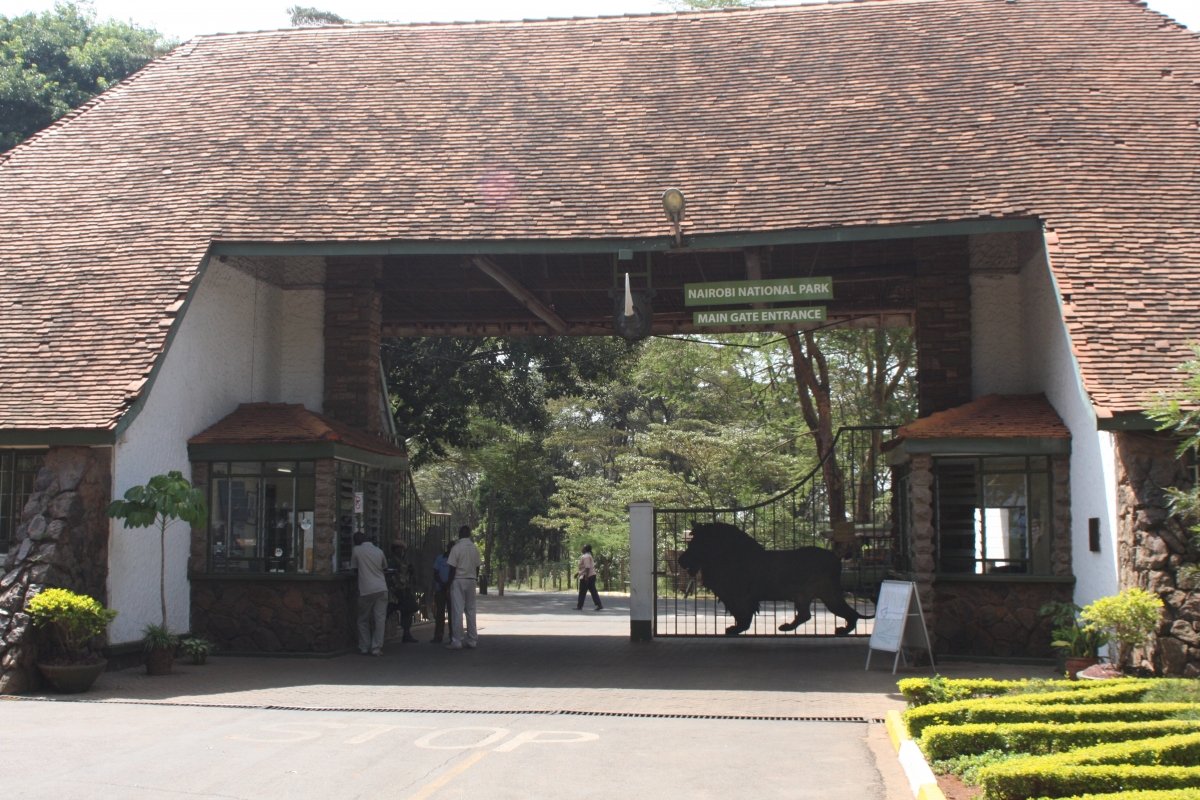 gallery_1_1042_3780294