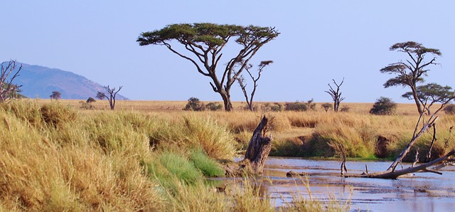 tanzania-ga86f46d14_640