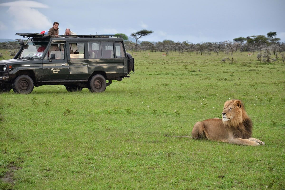 Naboisho-Camp-gamedrive